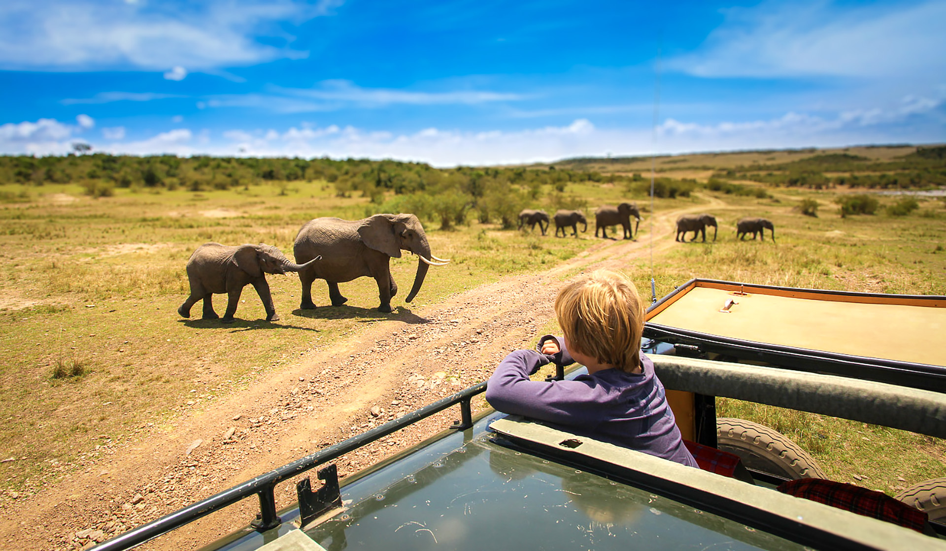 Family Safari